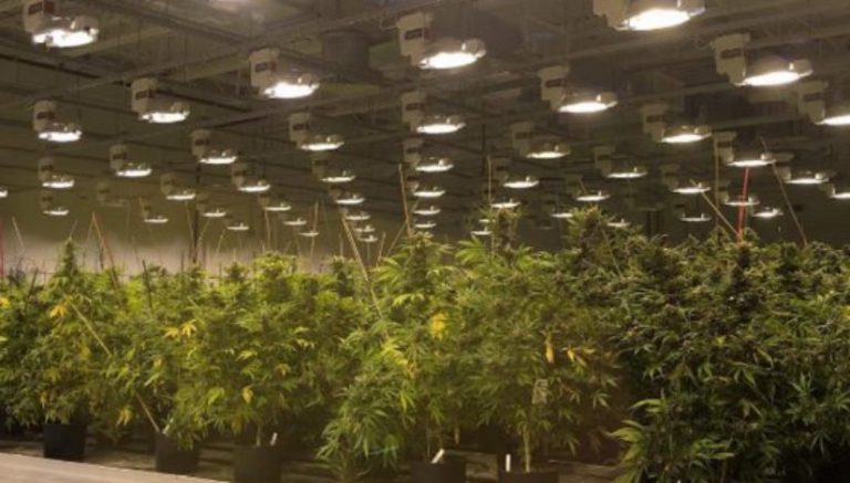 Want to influence Massachusetts weed industry decisions? Regs board now forming