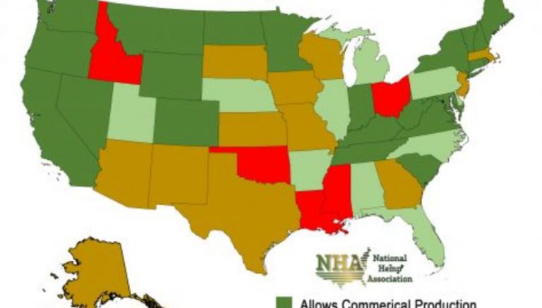 The Industrial Hemp Farming Act is back — is this the year Congress legalizes the crop?