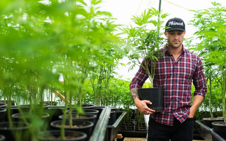 California Farmers: Grow Big or Go Home?