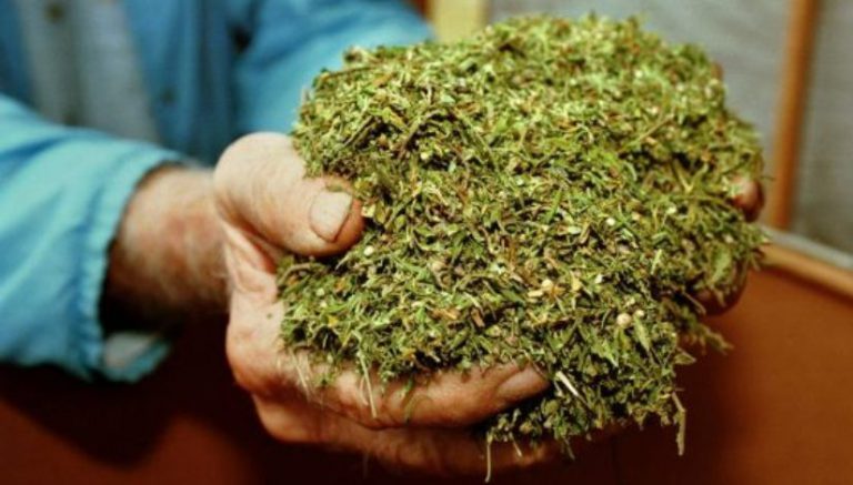 DEA plans to reduce quota of government-grown marijuana for research in 2018