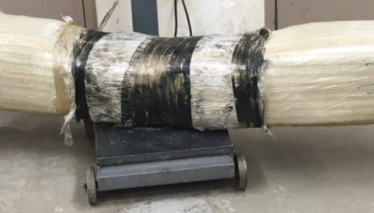 100 pound package of marijuana launched over Mexico border fence