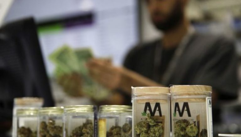 Nevada weed distribution crisis averted, again… for now