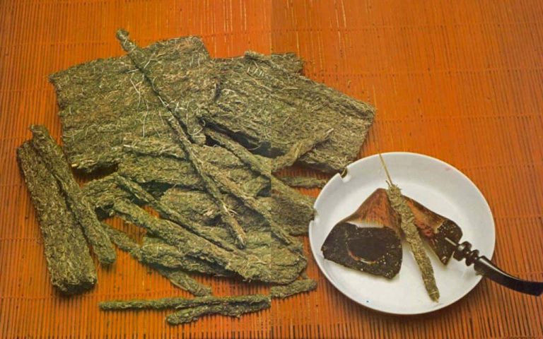 The Art of Potography