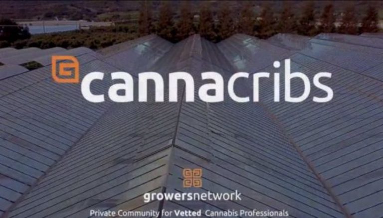 Premiere: Canna Cribs goes inside the cannabis industry’s leading grow ops