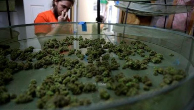 Colorado town approves marijuana sales, inspired by neighbor’s tax revenue