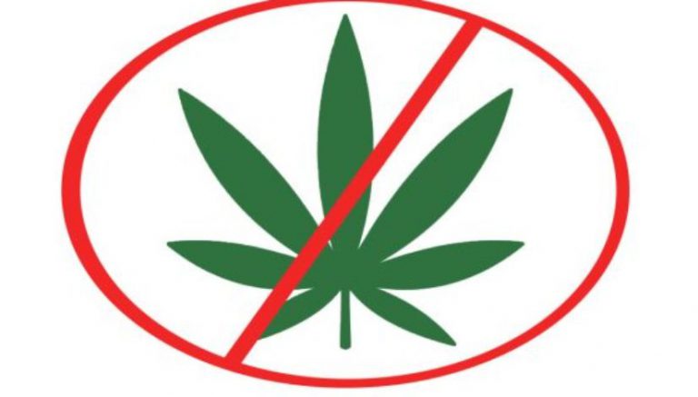 Five out of five cities in Florida county ban medical marijuana