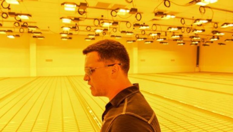 Plants in ground for Maryland, but when and where can patients access medical marijuana?