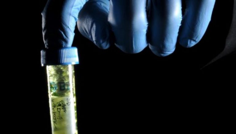 Nevada cuts off Las Vegas cannabis testing lab