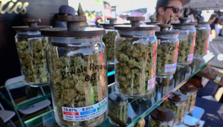 Delaware cannabis task force eyeing host of legalization issues