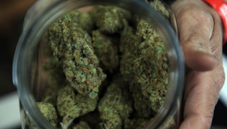 Vermont gov creates commission to study cannabis legalization issues