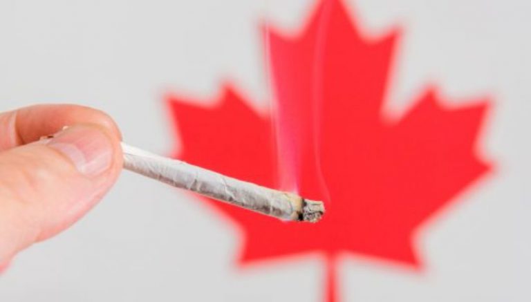 Ontario aims to have 150 marijuana stores run by the government