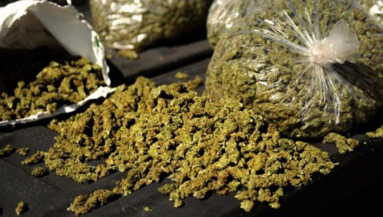 Guy stopped with 3,100 pounds of weed tells cop, “It’s just a little — I can throw it out”