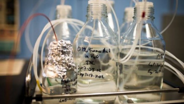 Northern California companies reconsider marijuana policies as more workers fail drug tests