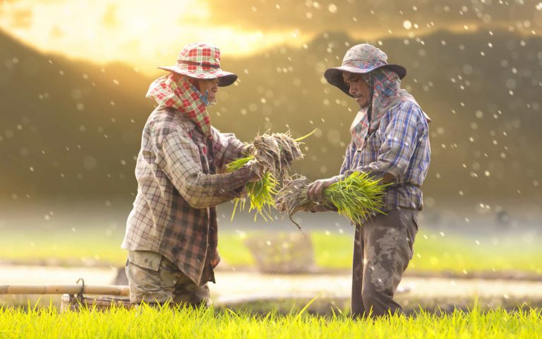 California Judge Throws Out Hmong Farmers’ Discrimination Claims