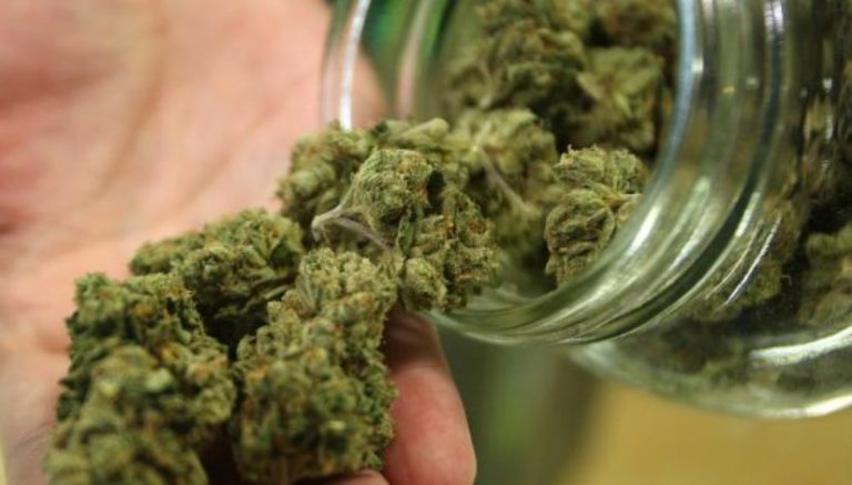 Sarasota, Florida plotting workaround to comply with state MMJ laws