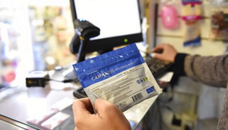 Uruguay setting up dedicated cannabis dispensaries after banks scare off pharmacies