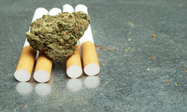 Maine Licenses Cannabis Social Clubs, But You Can’t Smoke In Them