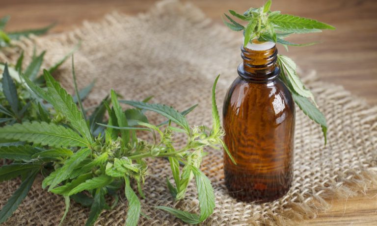 Report: Woman Cures Terminal Cancer with Cannabis