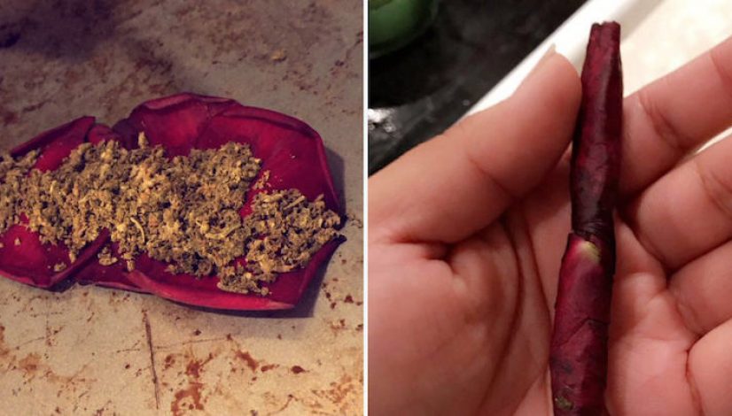 rose-petal-blunts-could-be-the-dopest-new-way-to-smoke-weed_1