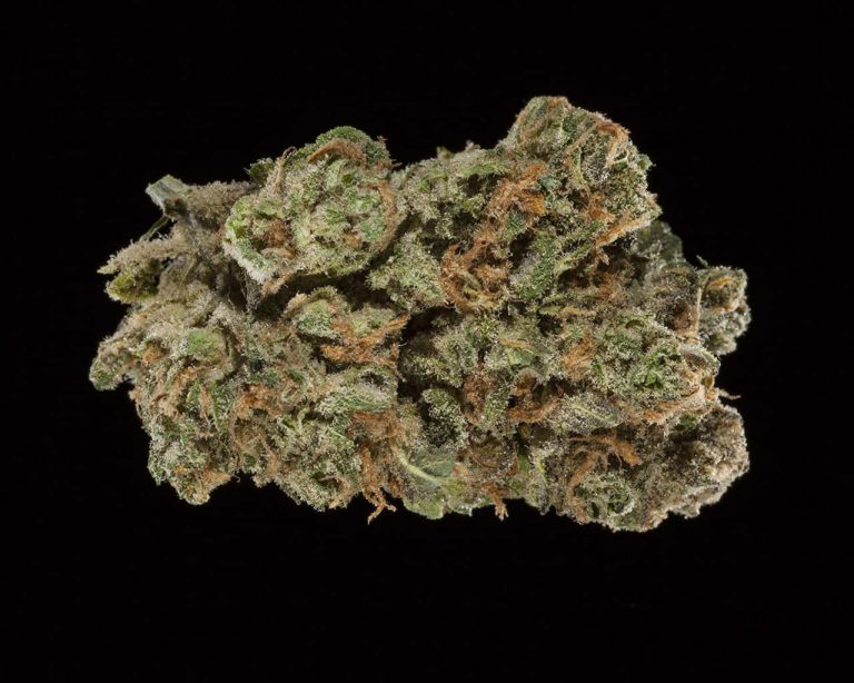 Top 10 Strains to Smoke This Fall