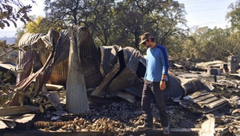 At least 31 legal cannabis farms have been destroyed in the California fires