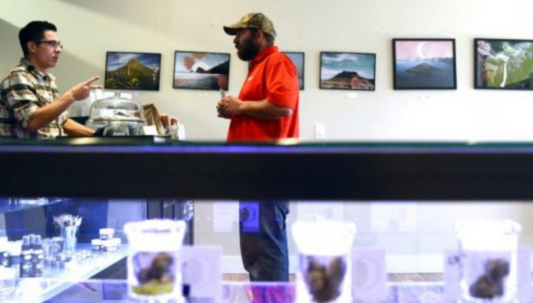 Montana MMJ enrollment up, but producers on hold for testing regs