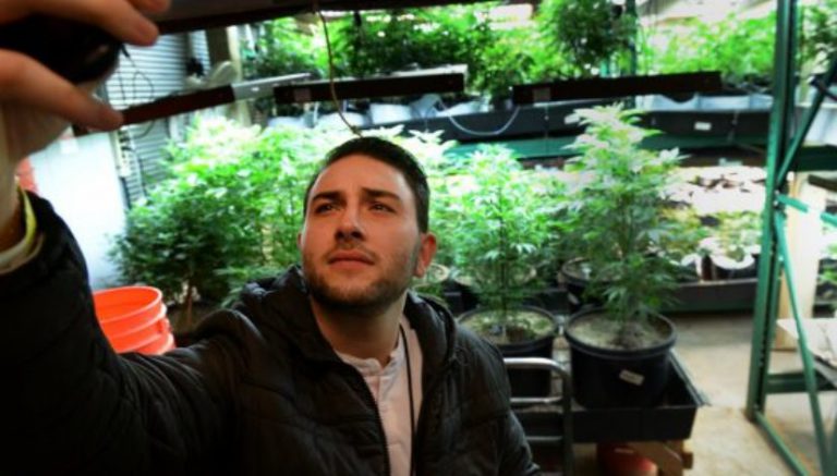 Ten of the best 420-friendly vacation destinations around the globe