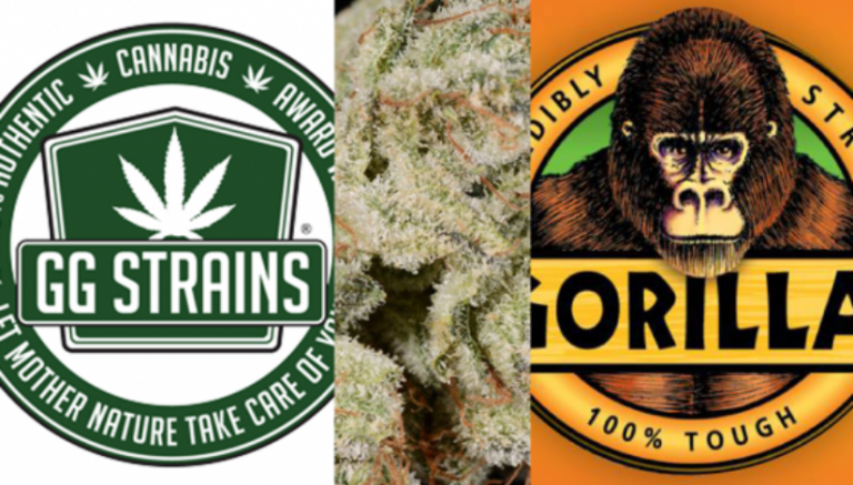 Gorilla Glue adhesives company reaches settlement with cannabis business