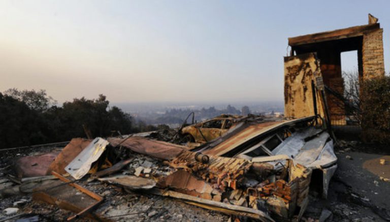 California cannabis growers reeling from “most financially trying, stressful year ever”