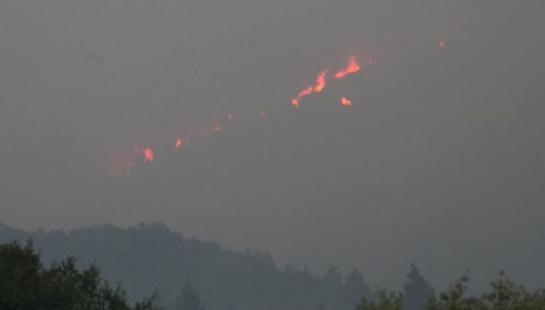 After the smoke clears: What’s next for Northern California’s cannabis industry?