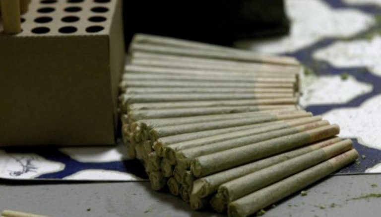 Alaska voters reject local bans on legalized marijuana by wide margins