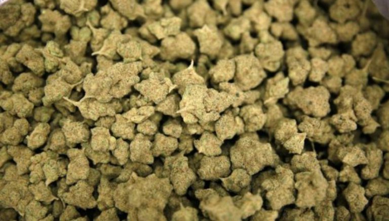 Amazon primo shipment: Florida couple receives surprise 65 lbs weed with order