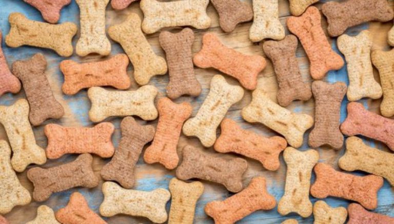 Snack attack: New Jersey cops bust illegal op selling infused dog biscuits and pot pretzels