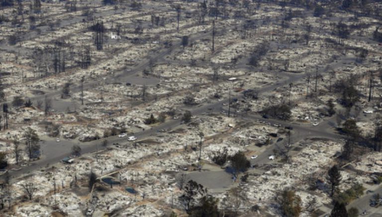 Some cannabis farmers’ livelihoods could be wiped out by California fires