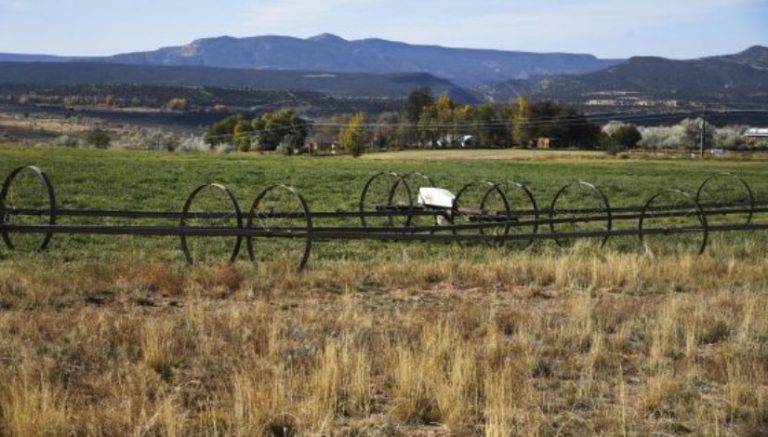 Colorado Divide: Is hemp the answer for a rural county hoping to rely less on mining?