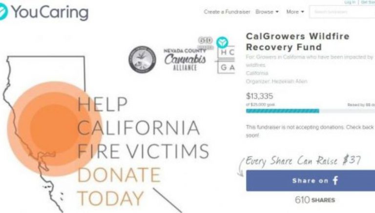 Crowdfunding site shuts down campaign for California cannabis farm fire victims