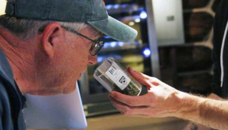 A Colorado weed business may lose its permit over odor issues