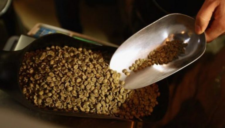 The Cannabist Show: His biz infuses coffee with hemp as the beans roast