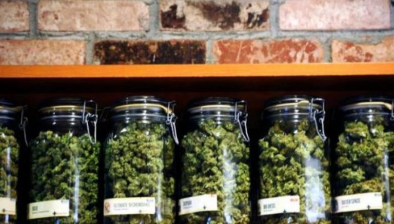 States consider best ways to legalize recreational marijuana