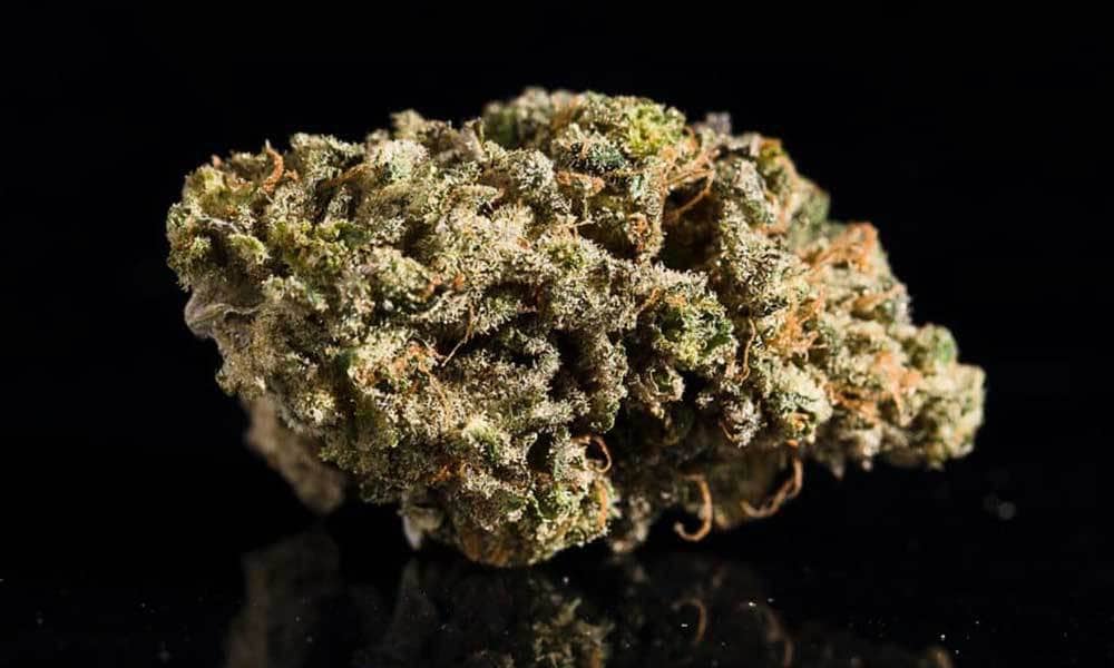 All of the Top 10 Entries from the 2017 Michigan Cannabis Cup