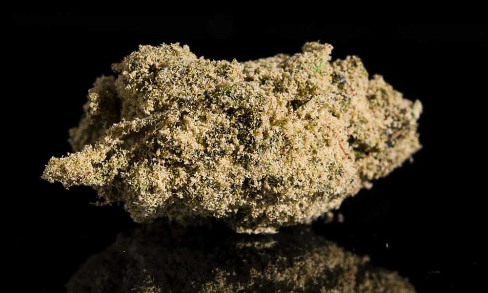 All of the Top 10 Entries from the 2017 Michigan Cannabis Cup