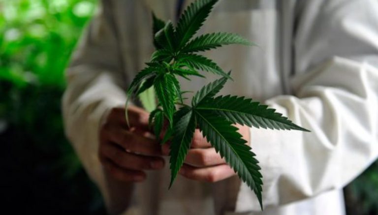 Congressional members to VA chief: Allow veteran-focused marijuana research