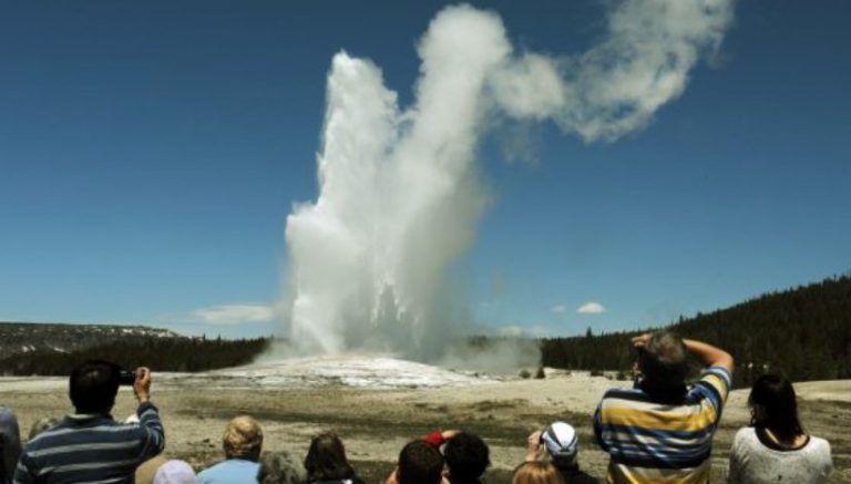 Federal government to keep $20K after Yellowstone weed bust