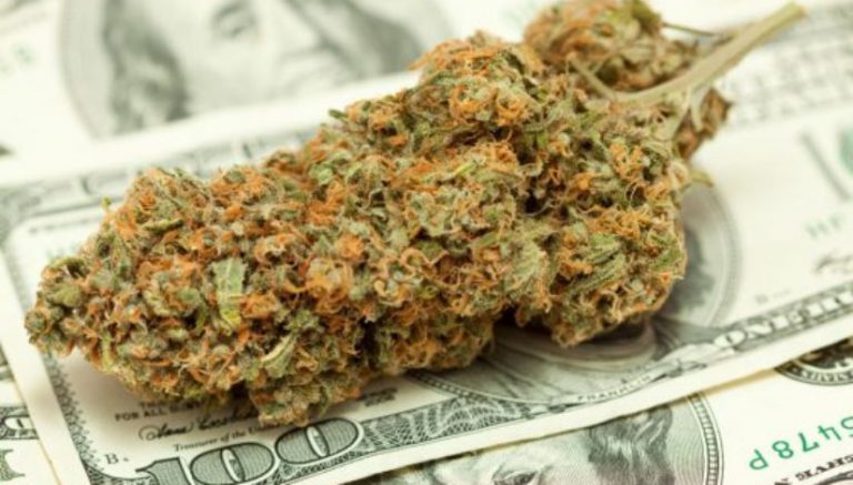 Cannabis equity fund seeks to raise record-breaking $250 million