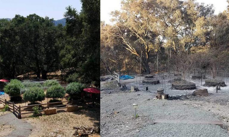 How to Help the California Cannabis Community Affected by Fires