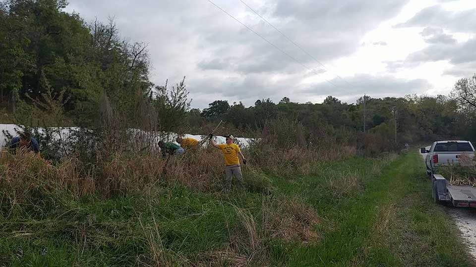 Nearly 500 Marijuana Plants Uprooted from Iowa Farm