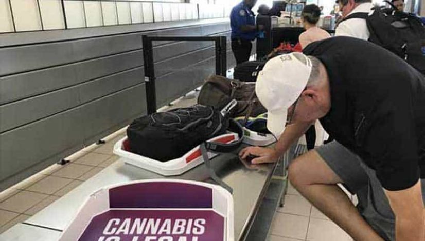 pot-ads-appear-in-tsa-security-bins-at-airport_1