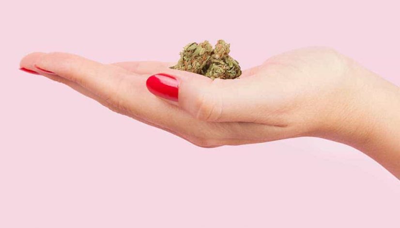 science-women-and-cannabis-a-healthy-successful-combination_1