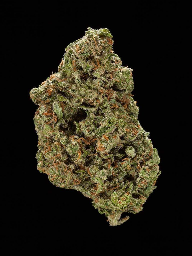 10 Strains For Eating All The Food On Thanksgiving