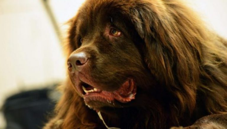 High Minded podcast by The Cannabist | S01E03